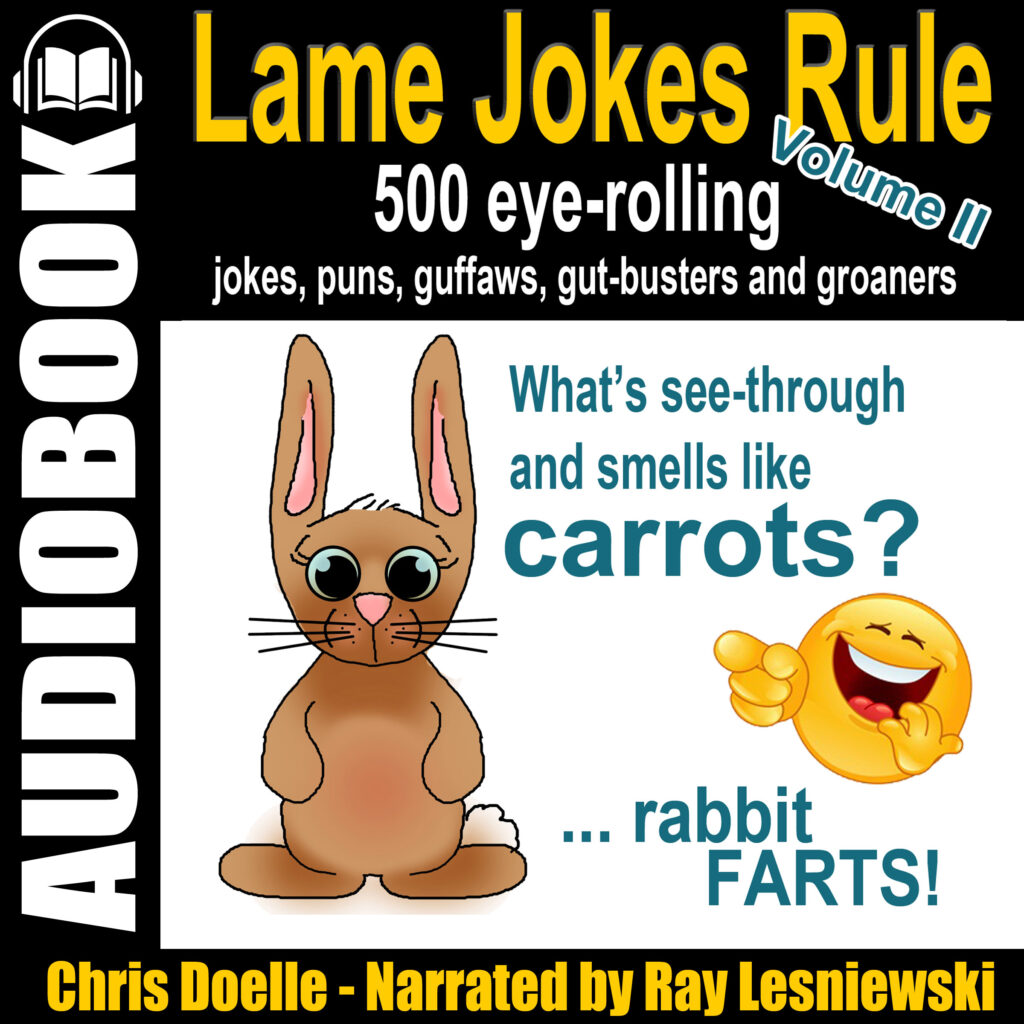 Lame Jokes Rule II audiobook - Chris Doelle